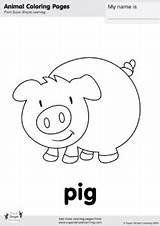 Pig Old Coloring Macdonald Song sketch template