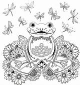 Coloring Pages Frog Adult Forest Sapo Printable Choose Board Books sketch template