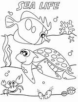 Coloring Ocean Pages Sea Life Animals Under Printable Color Print Animal Adults Colouring Kids Ecosystem Waves Drawing Seascape Marine Getdrawings sketch template