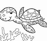 Turtle Coloring Pages Alligator Snapping Printable Getcolorings Getdrawings sketch template