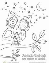 Nighttime Chouette Printable Owls sketch template