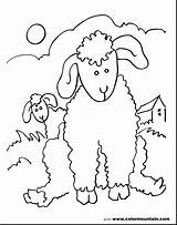 Lamb Coloring Pages Baby Lion Printable Getdrawings Drawing Color Getcolorings sketch template