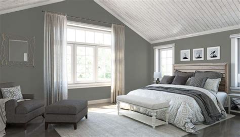 gray paint color options  guest bedrooms home
