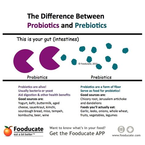 microbe   human   lose weight