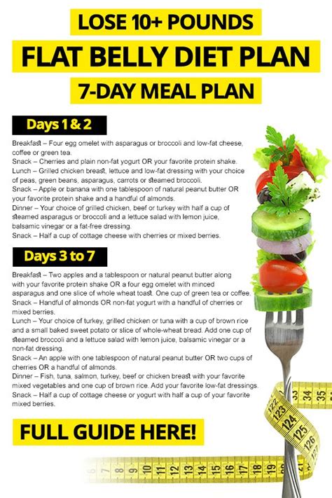 The Basics Of The Belly Fat Diet Plan Dummies Diet