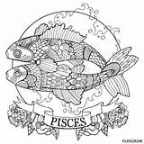 Pisces Coloring Zodiac Signs Sign Pages Book Astrology Adults Horoscope Tattoo Vector Colouring Color Adult Printable Fotolia Stencil Mandala Dreamstime sketch template
