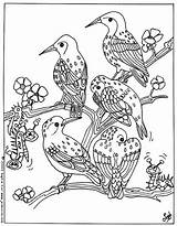 Pajaros Paon Pajaro Oiseaux Aves Hellokids Pájaros Coloriages Popular Colorier K7v Greatestcoloringbook Adultos Coloração sketch template