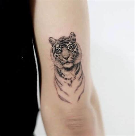 50 Tiger Tattoo Design Ideas Tattootab