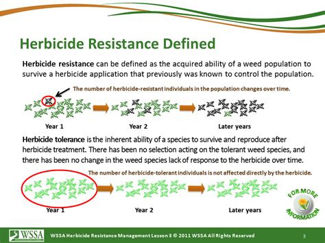 What Is Herbicide Resistance Cotton Incorporated