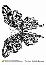 Papillon Hugolescargot sketch template
