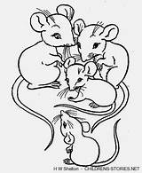 Coloring Dormouse Mouse Mice Drawing Bounds Ellen Family Animal Pages Getcolorings Printable Cute Getdrawings Rats Farm Choose Board Color sketch template