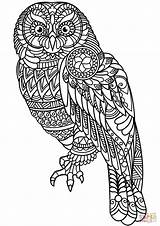 Zentangle Coloring Owl Printable Pages Animal Programs Drawing Template Categories sketch template