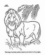 Lion Coloring Pages Printable Kids Animal Colorir Desenho Felinos Wild Male Animals sketch template