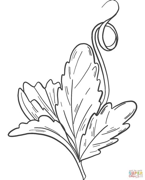 pumpkin leaf coloring page  printable coloring pages