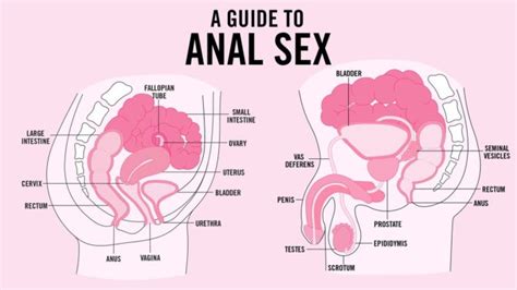 “teen vogue” published an exhaustive guide to anal sex and the internet is having a tizzy queerty