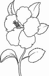 Coloring Dogwood Getcolorings sketch template