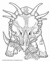 Triceratops Coloring Pages Dinosaurs Dinosaur Honkingdonkey Printable Print Styracosaurus Sheet sketch template