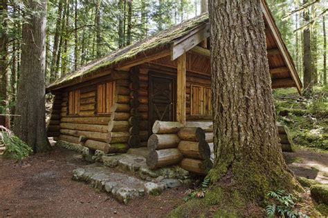 diy log cabins build   rustic lifestyle  hand craft  diy log cabin cabins
