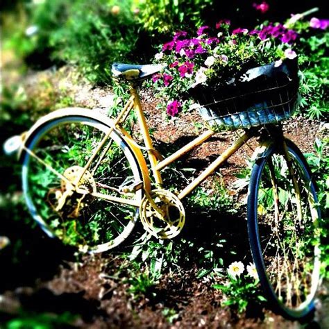 images  upcycled bicycles   garden  pinterest