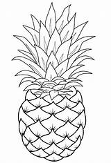 Pineapple Coloring Fruit Line Template Drawings Pages Printable Drawing Easy Pinapple Fruits Print Cute sketch template