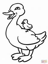 Eend Moeder Duck Duckling sketch template