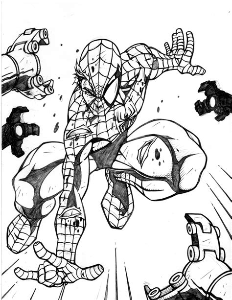 printable spiderman coloring pages  kids