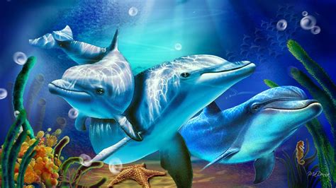 dolphins wallpapers wallpaper cave