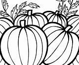 Coloring Pumpkin Pages Pumpkins Thanksgiving Patch Printable Harvest Kids Sheet Celebrate Color Fall Adults Print Clipartmag Popular Mouse sketch template