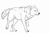 Wolf Drawing Lineart Walking Drawings Mara Elle Deviantart Choose Board Walk sketch template