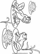 Frog Coloring Pages Princess Disney Frogs Book Color Drawings Colouring Animal Outline Tiana Choose Board Sheets Photobucket Easy S921 sketch template