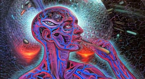 dmt     psychedelic drug