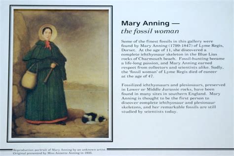 mary anning quotes quotesgram
