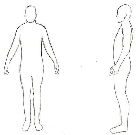 human body outline drawing template person img abigail