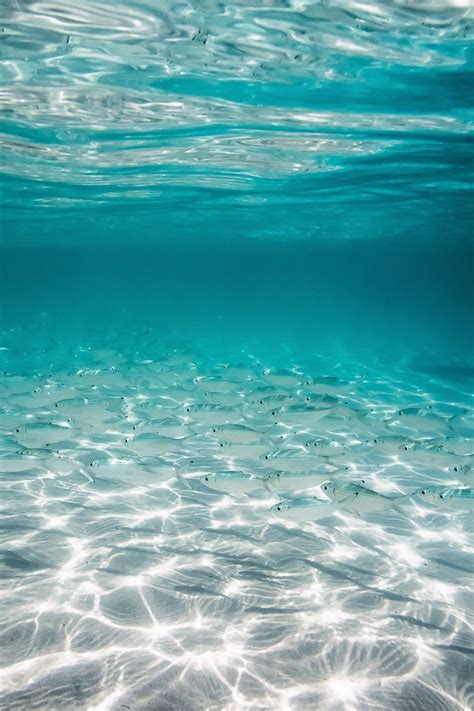 tutorial     underwater   pop hannah prewitt photography ocean