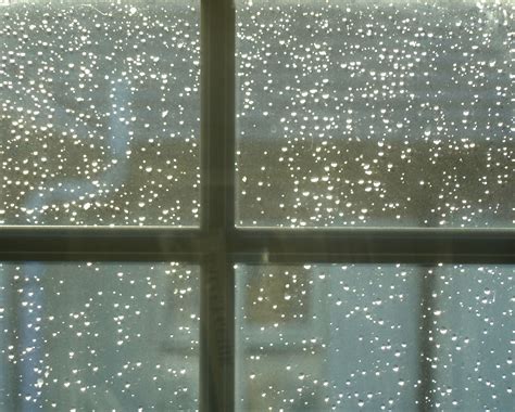 raindrops   window pane louis page