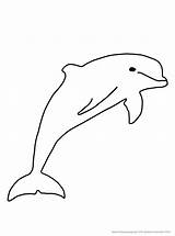 Delfin Ausmalbilder Ausmalen Delphin Delfine Malvorlage Malvorlagen Fische Bildern Kinder Tiere Kinderbilder Delphine Zeichnen Verwandt Wassertiere Kostenlose Wal Pferd sketch template