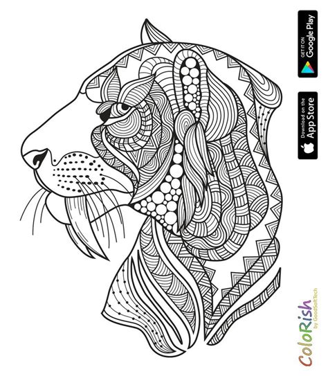coloring lion tiger images  pinterest adult coloring