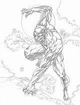 Panther Coloring Pages Drawing Color Print Marvel Getdrawings Darry Boys sketch template