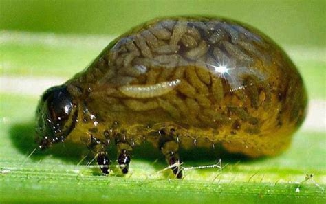 【閲覧注意】ガチで闇が深そうな画像