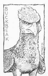 Harry Buckbeak Aceo Hippogriff sketch template