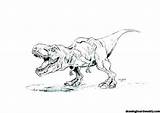 Dinosaur Tarbosaurus Theropod Tyrannosaurus sketch template