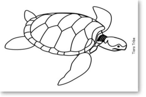 sea turtle coloring pages tiaratribe