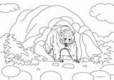 Bear Coloring Pages Cave Printable sketch template