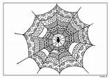 Spider Zentangle Spiderweb sketch template