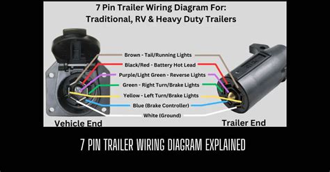 pin trailer wiring diagram explained