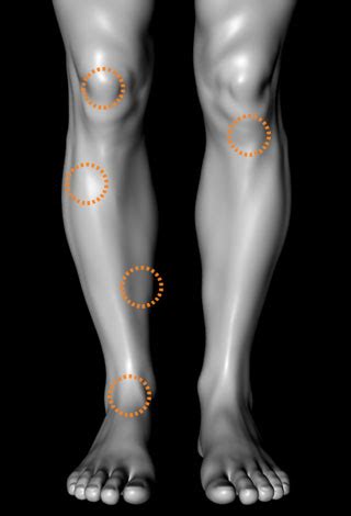 front ankle leg knee  premier podiatry