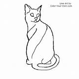 Egyptian Cat Mau Drawing Coloring Color Pages Getdrawings Drawings Line Own Getcolorings sketch template