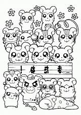 Hamtaro Coloring Cute Pages Kids Library Cartoon Books sketch template