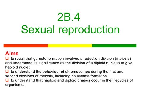 Lesson 6a The Stages Of Meiosis