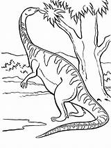 Plateosaurus Dinosauro Dinosauri sketch template